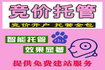 百度SEM竞价推广实战技巧，案例解析